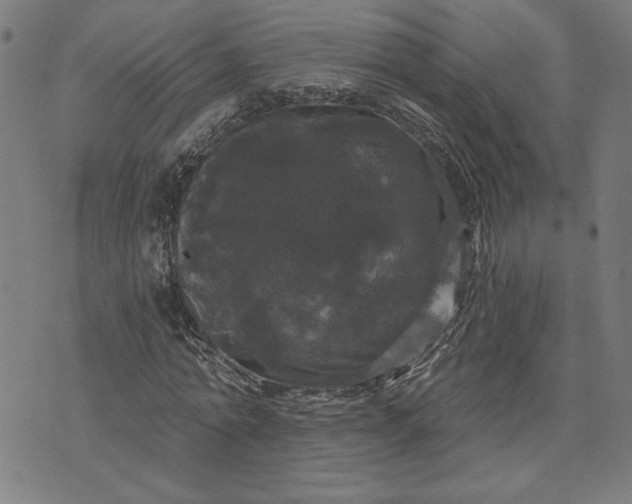 X0000070340774200606231531