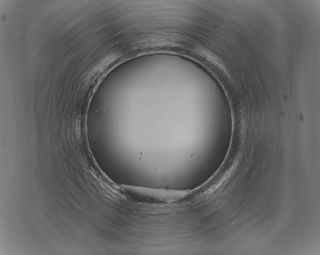 X0000070340777200606231531