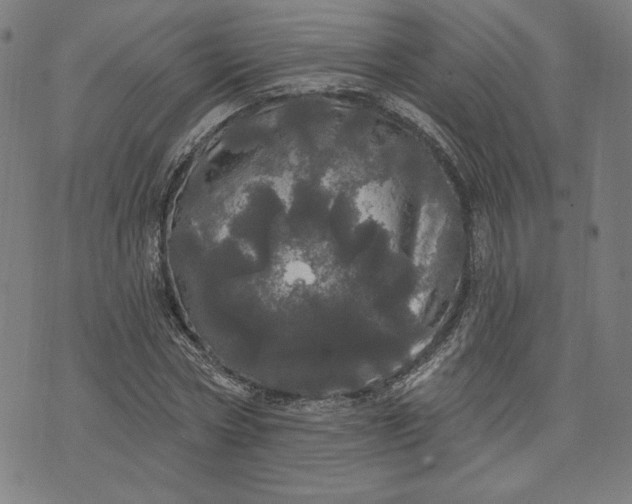 X0000070340778200606231531