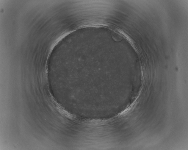 X0000070340779200606231531