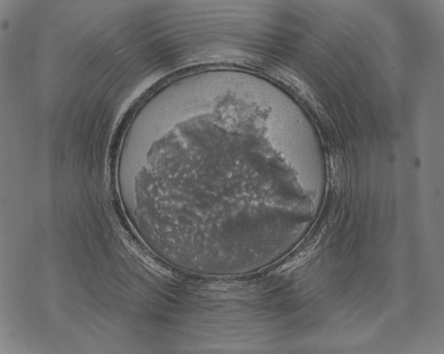 X0000070340780200606231531