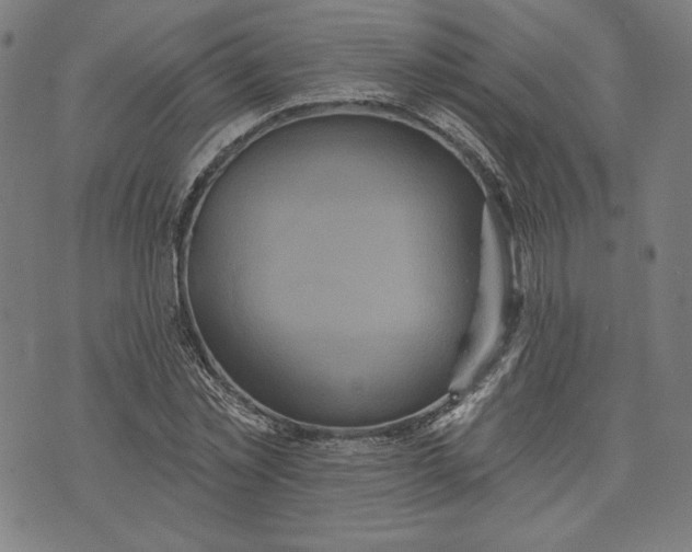 X0000070340781200606231531