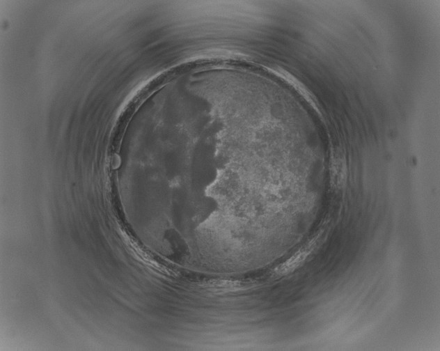 X0000070340783200606231531