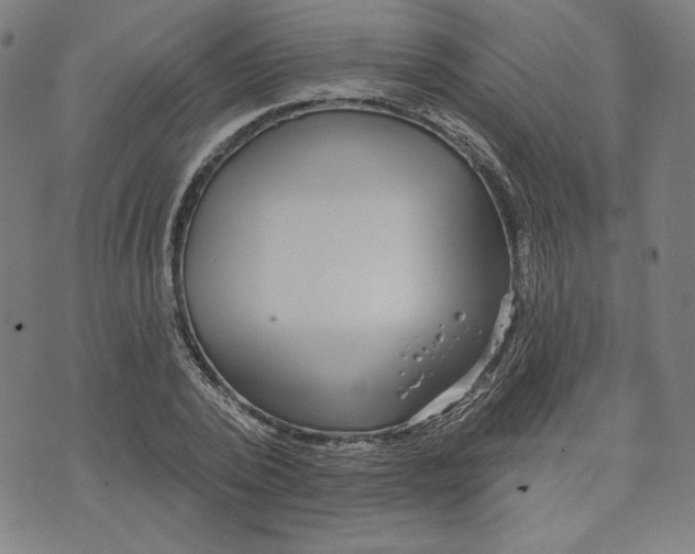 X0000070340784200606231531