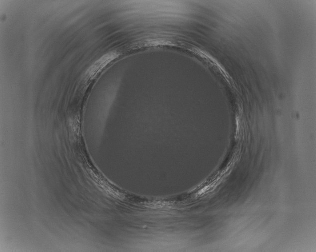 X0000070340785200606231531