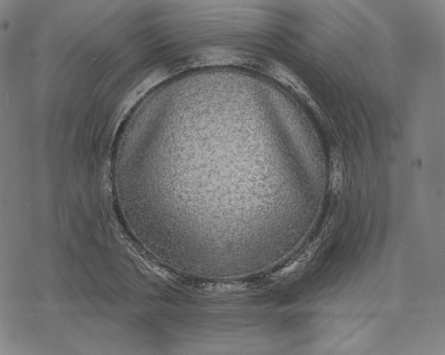 X0000070340786200606231531