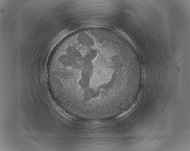 X0000070340787200606231531