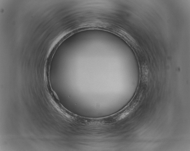 X0000070340788200606231531