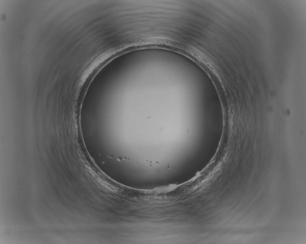 X0000070340789200606231531