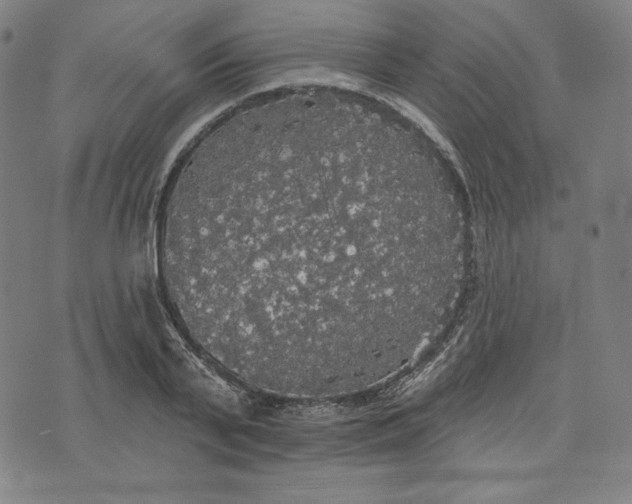 X0000070340791200606231531