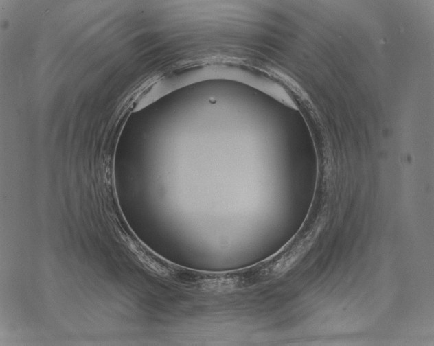 X0000070340793200606231531