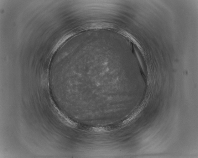 X0000070340794200606231531