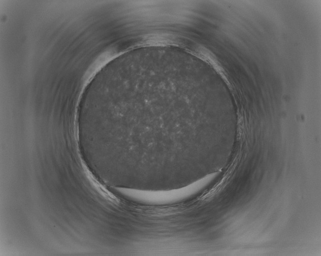 X0000070340795200606231531