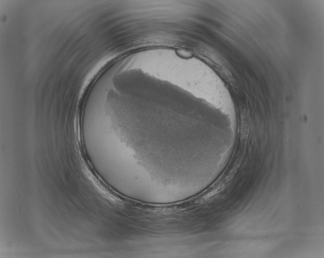 X0000070340796200606231531