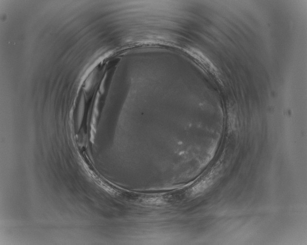 X0000070340798200606231531