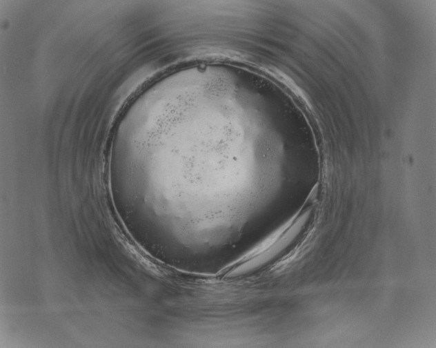 X0000070340799200606231531