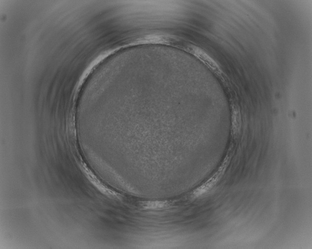 X0000070340800200606231531