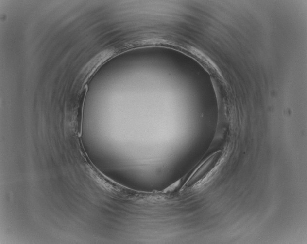 X0000070340801200606231531