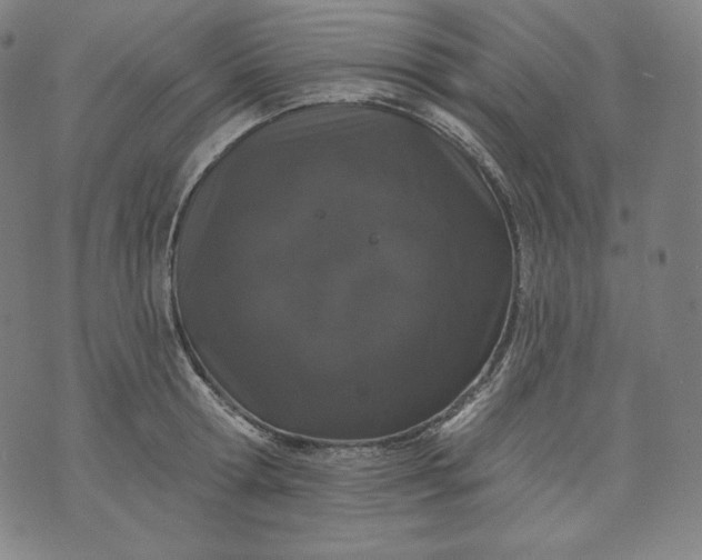 X0000070340802200606231531