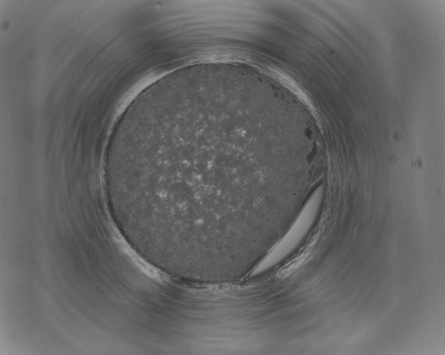 X0000070340803200606231531