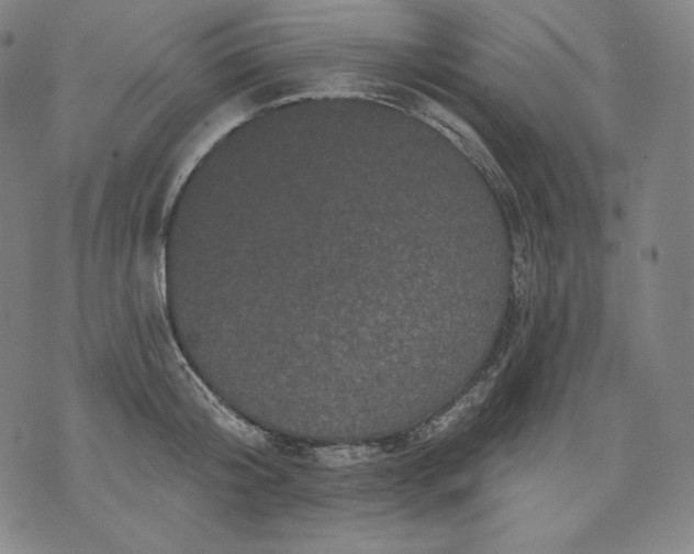 X0000070340804200606231531