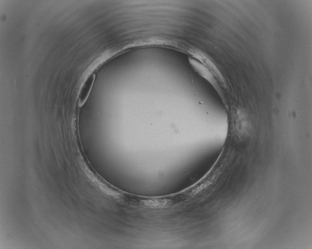 X0000070340805200606231531