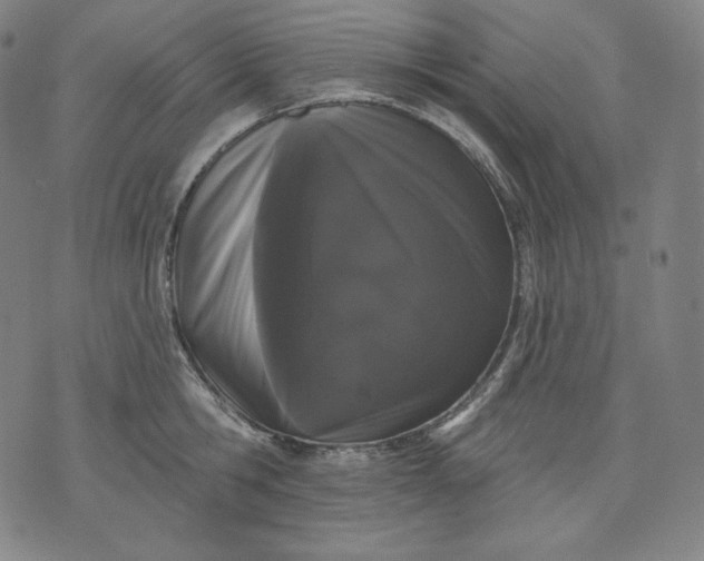 X0000070340806200606231531