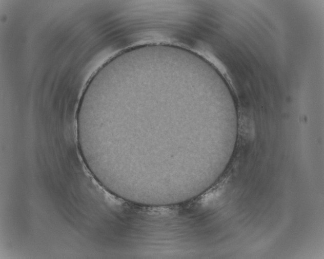 X0000070340807200606231531