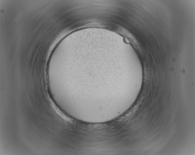 X0000070340808200606231531