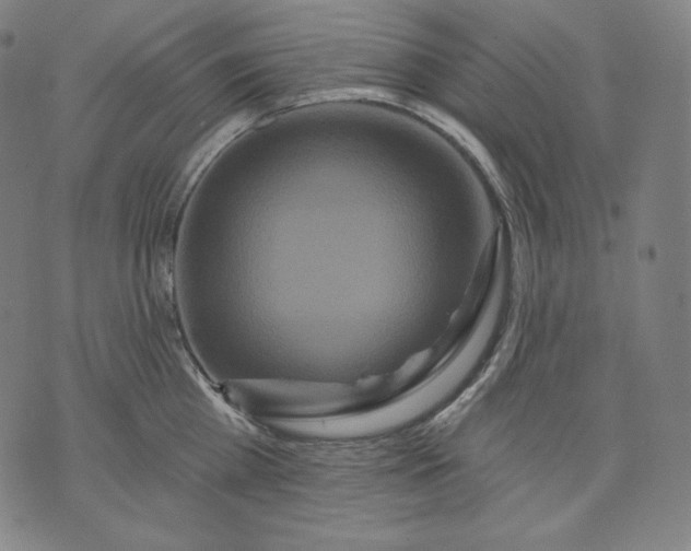 X0000070340809200606231531