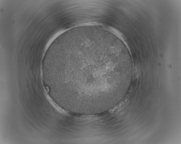 X0000070340811200606231531