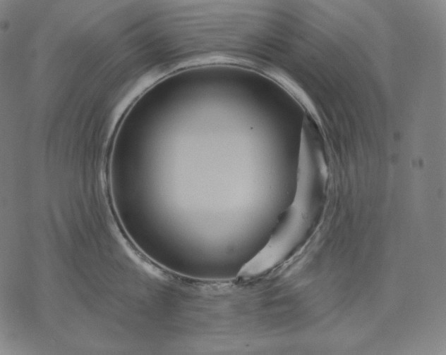 X0000070340813200606231531