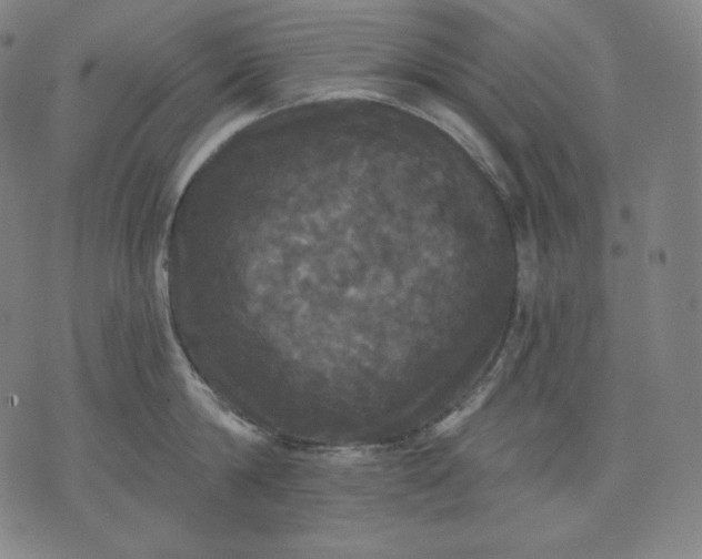 X0000070340814200606231531