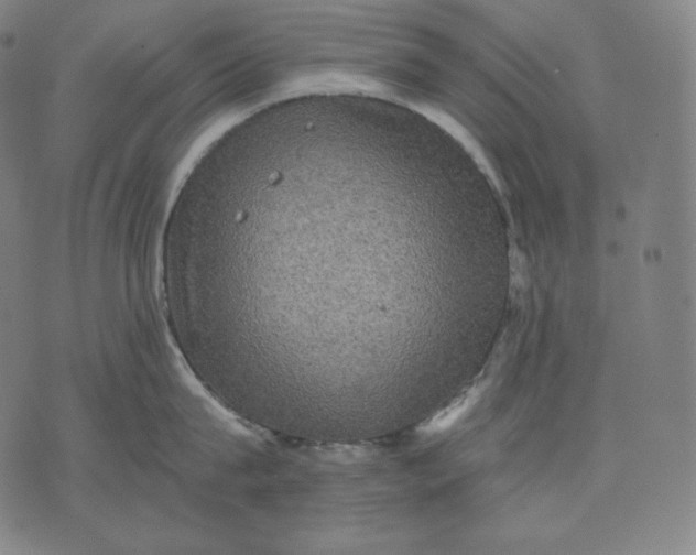 X0000070340815200606231531