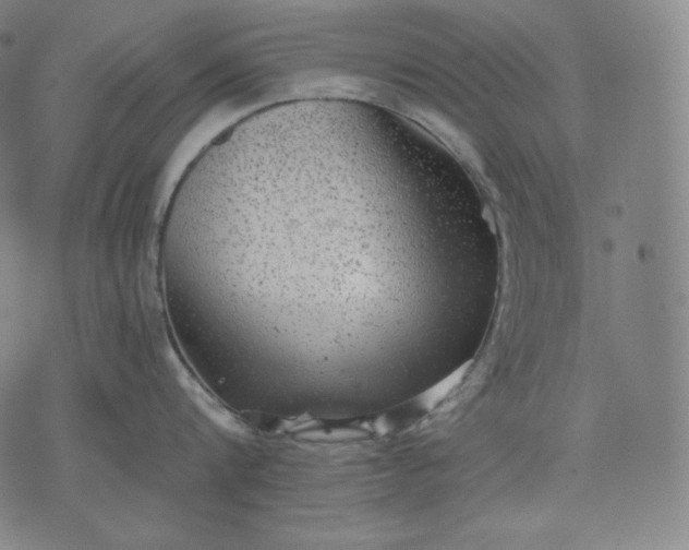 X0000070340816200606231530