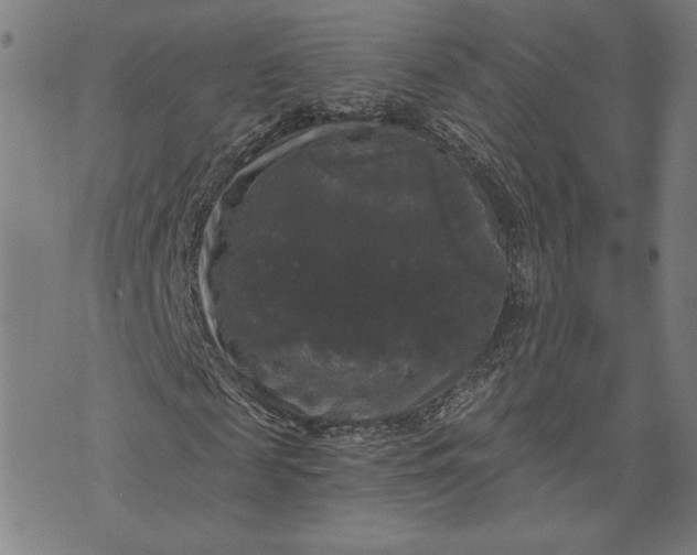 X0000070340817200606231530