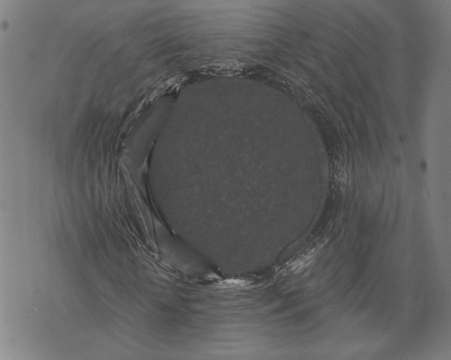 X0000070340818200606231530