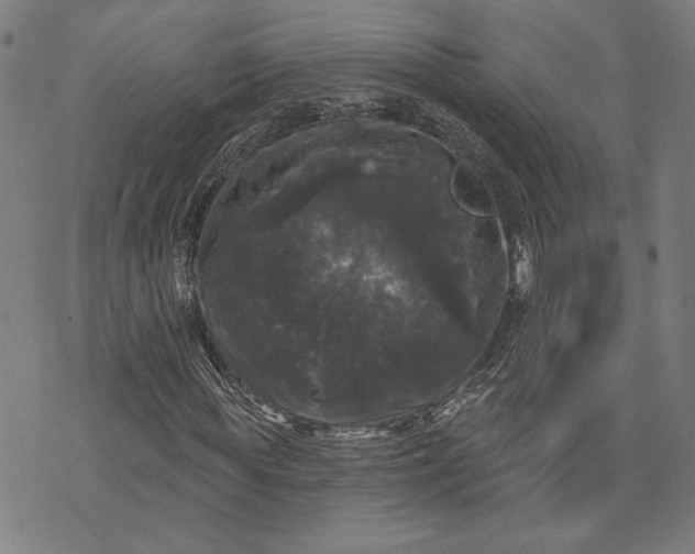 X0000070340819200606231530