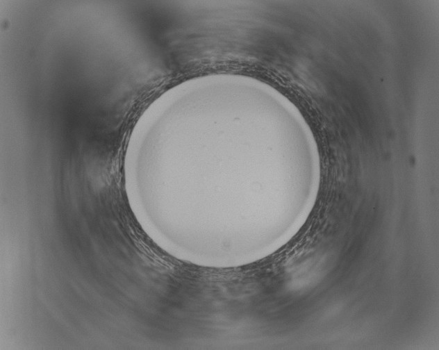 X0000070340820200606231530