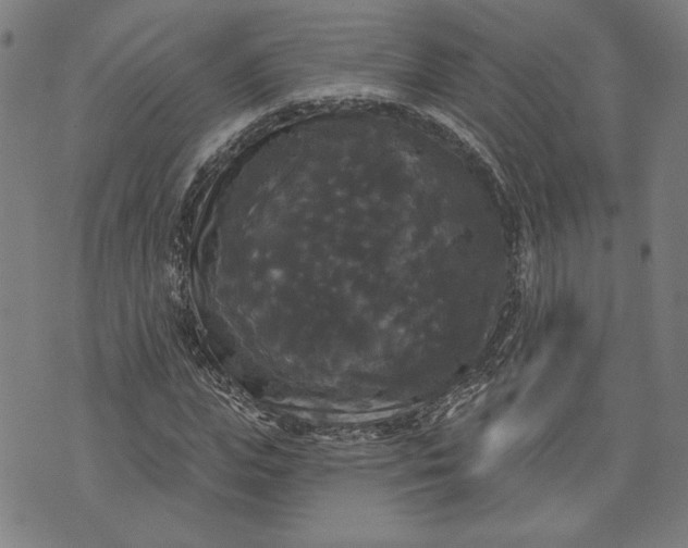 X0000070340823200606231530