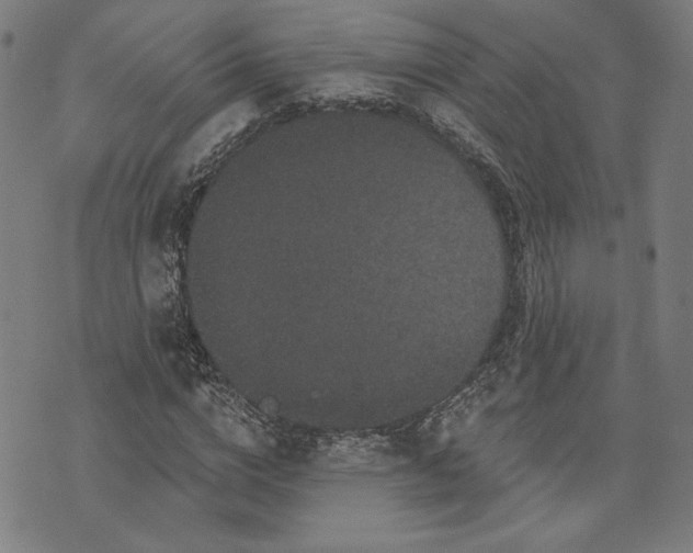 X0000070340824200606231530