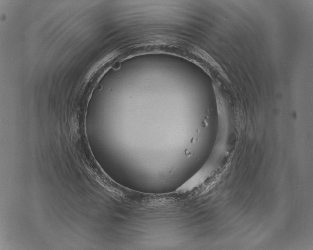 X0000070340826200606231530