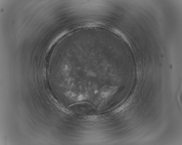 X0000070340827200606231530