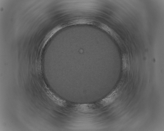 X0000070340828200606231530