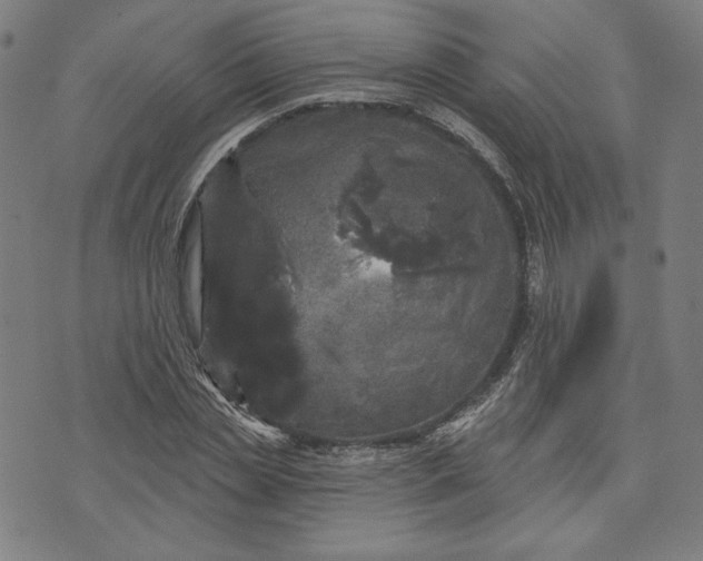 X0000070340829200606231530