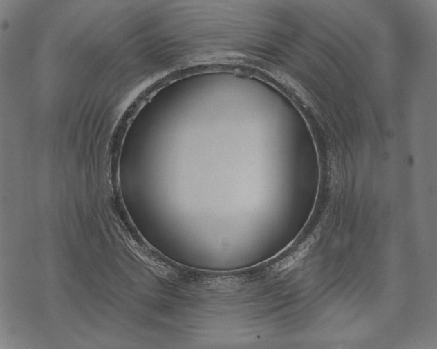 X0000070340830200606231530