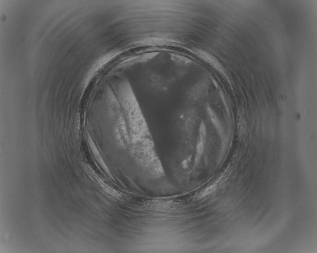 X0000070340831200606231530