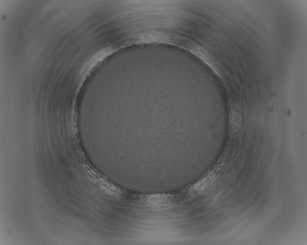 X0000070340832200606231530