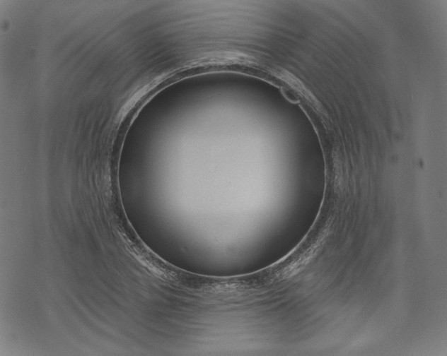 X0000070340834200606231530