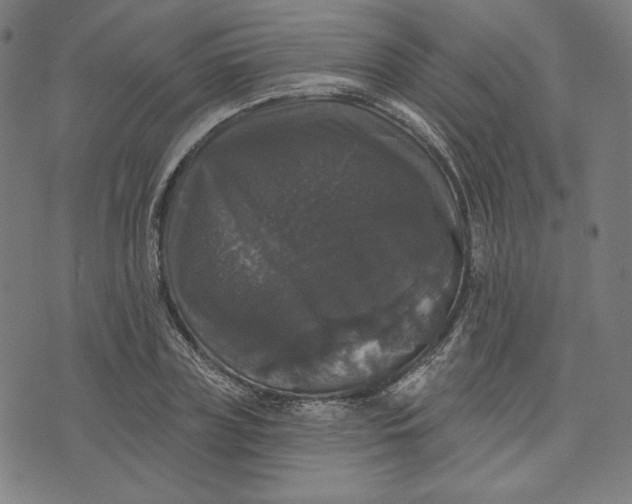 X0000070340835200606231530